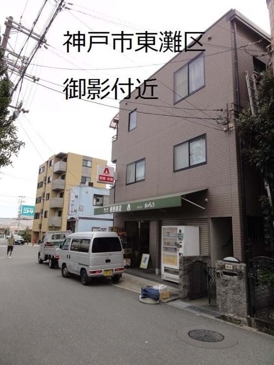 img_20151108-032611.jpg