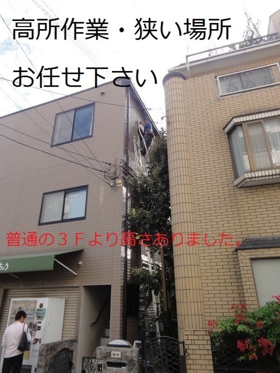 img_20151108-032823.jpg