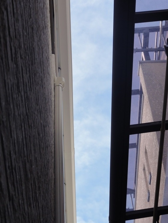 img_20151108-044643.jpg