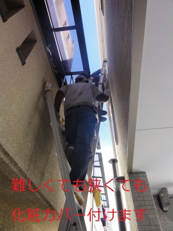 img_20151108-045128.jpg