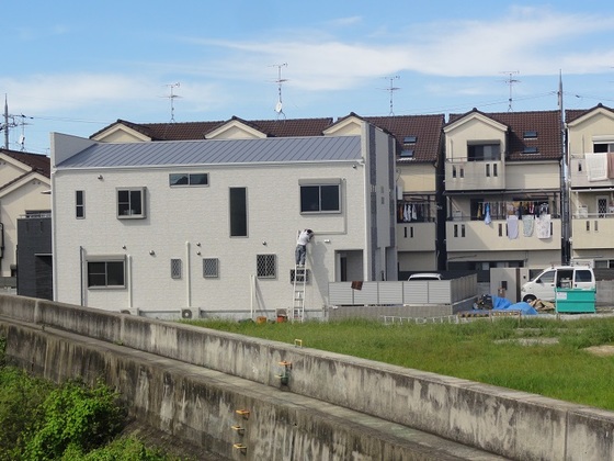 img_20151108-051130.jpg