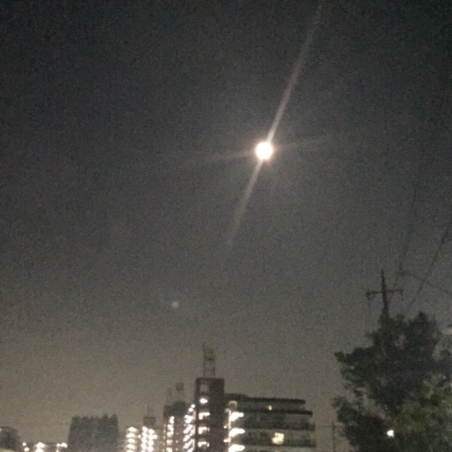 十五夜