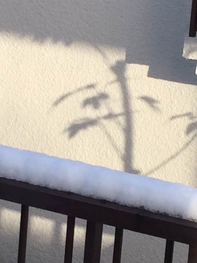 雪
