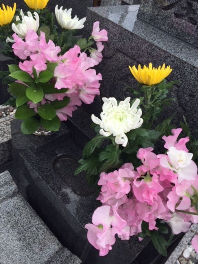 2月27日