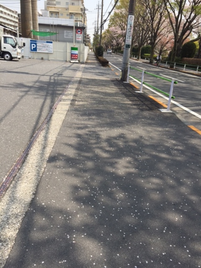 お花見