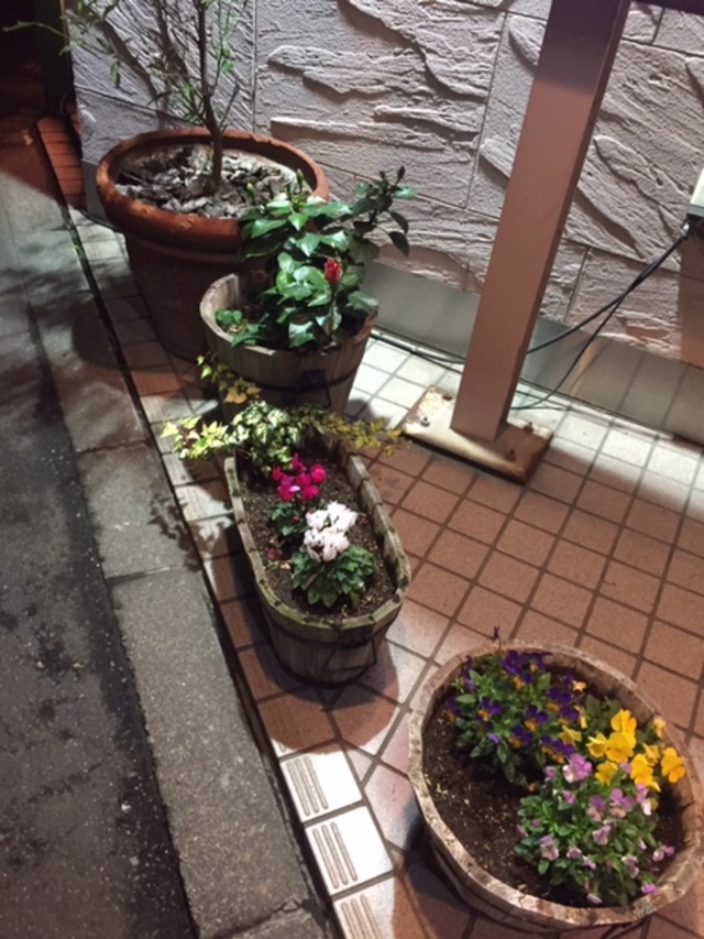 さむ~