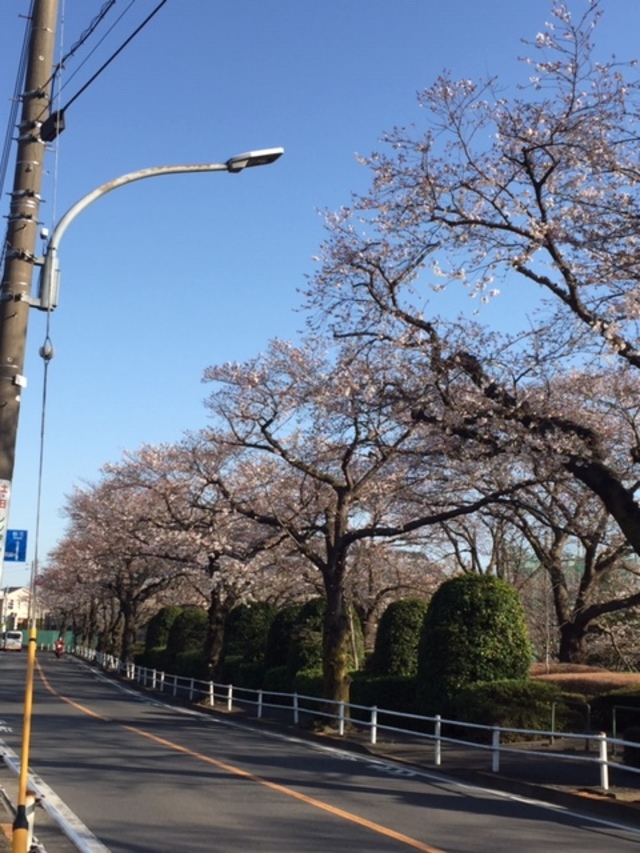 春の陽気