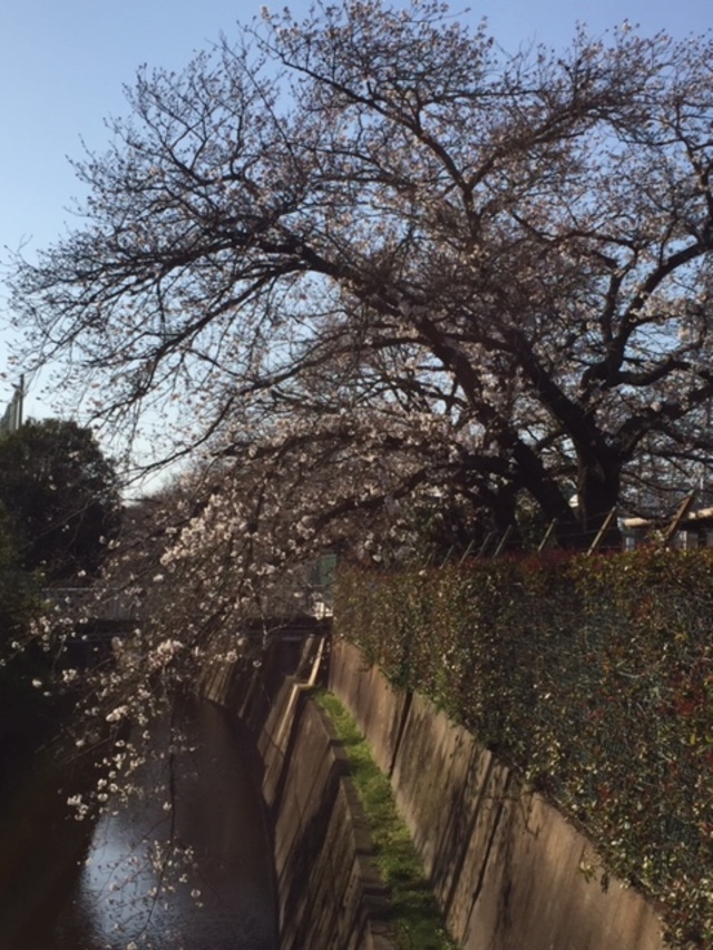 春の陽気