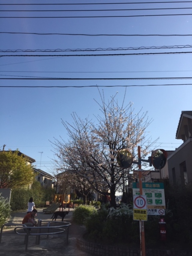 春の陽気