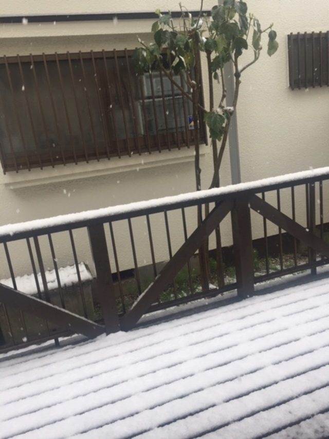 雪