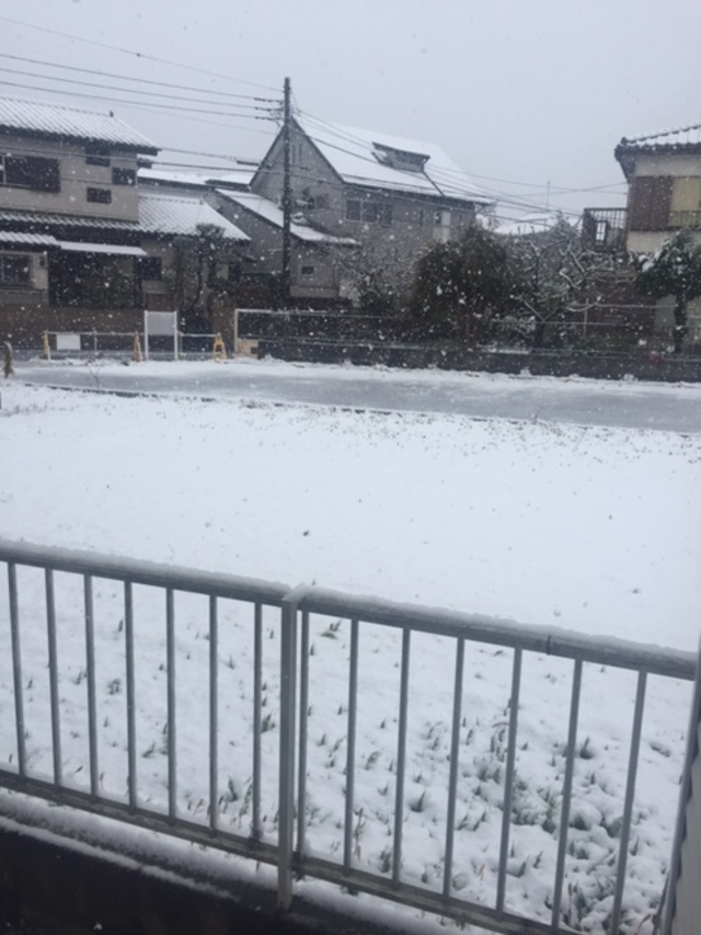 雪