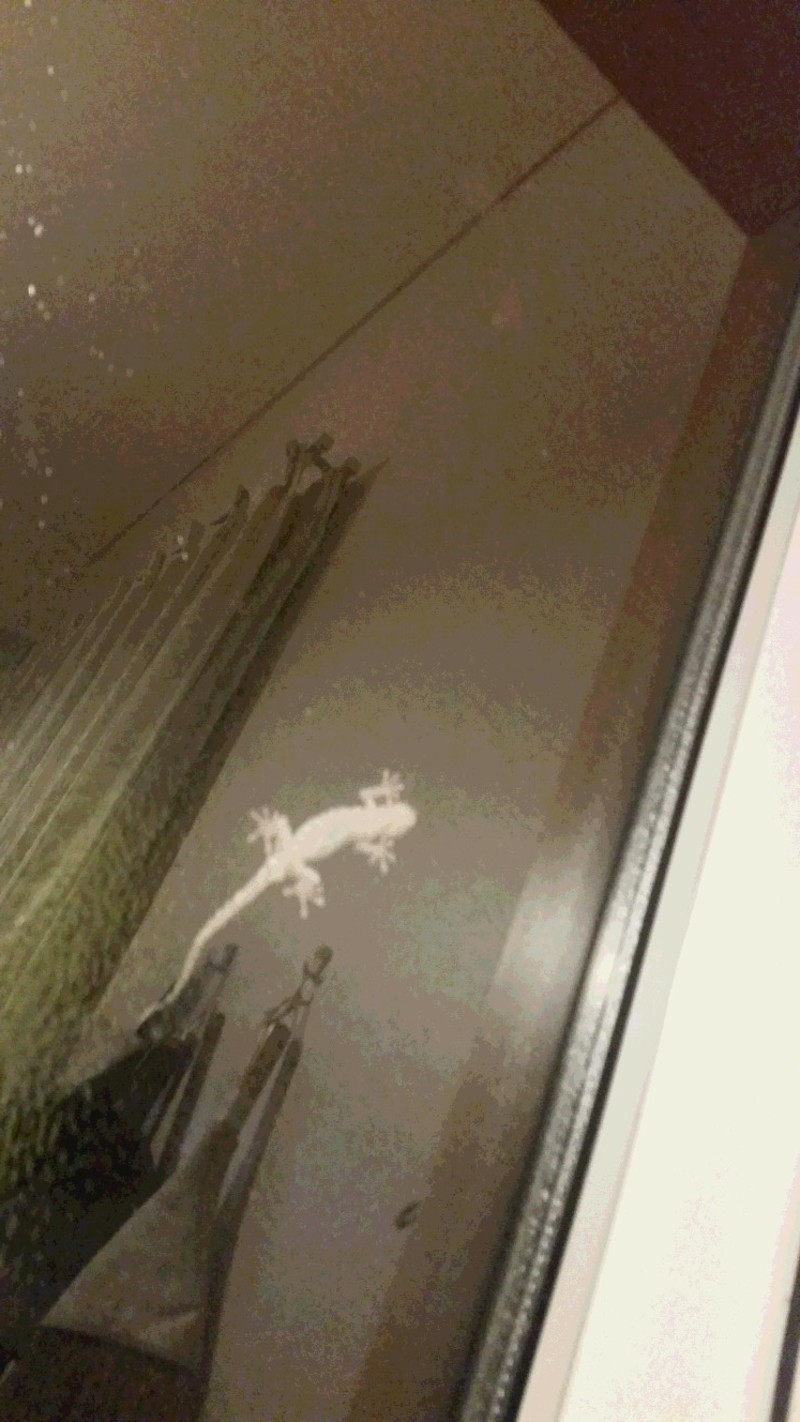 稼ぐに追い付く貧乏なしあり