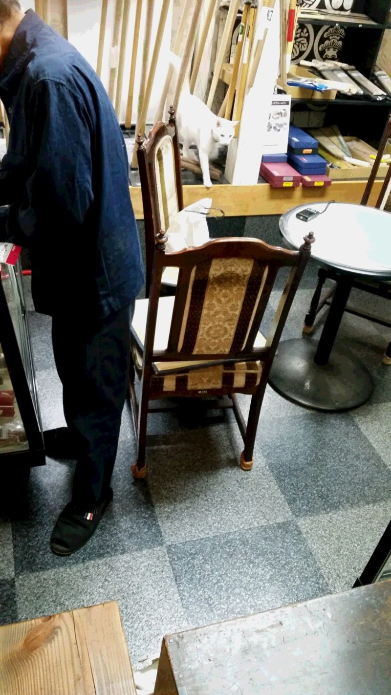 招き猫息子猫と