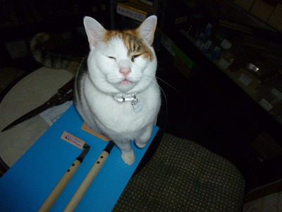img_20131203-214251.jpg