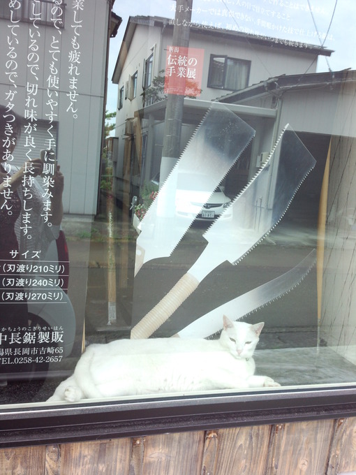 img_20131203-214737.jpg