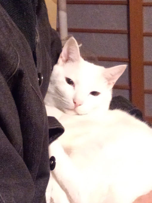 img_20131209-223901.jpg