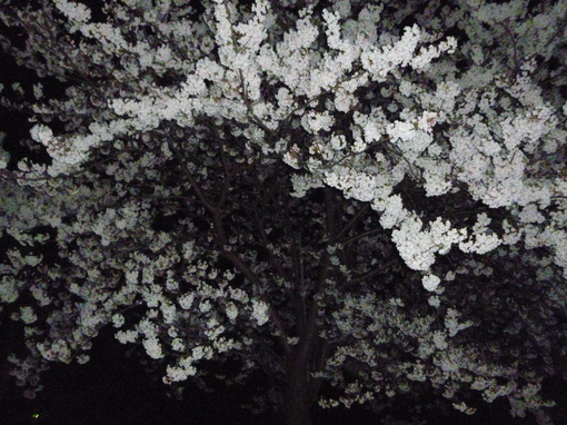 img_20140415-222653.jpg