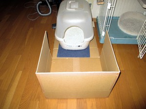 img_20160304-214147.jpg