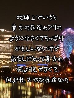 img_20140117-222215.jpg