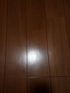 【blog】何気ないこと…でも大切な秩序
