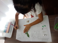 img_20150903-094728.jpg