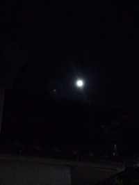 img_20150928-091648.jpg