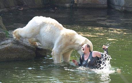 ベルリン動物園で柵越えた女性が北極グマに襲われる…クヌートも現場に