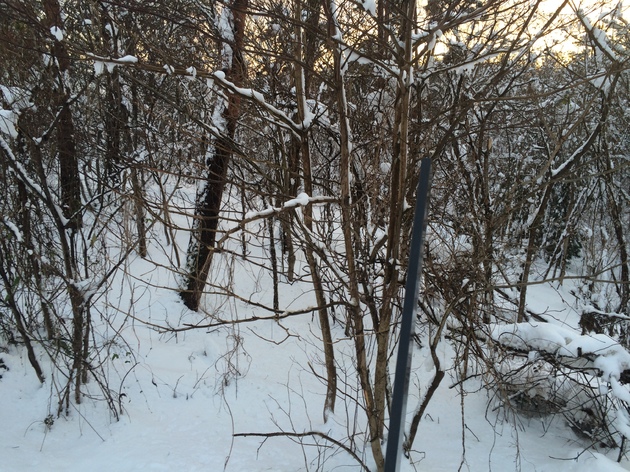 img_20141230-004456.jpg