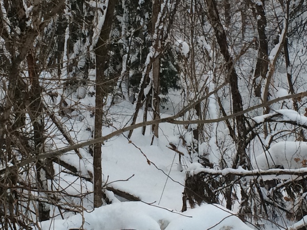 img_20141230-004519.jpg