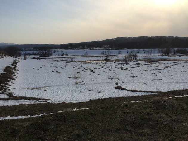 img_20150330-010442.jpg
