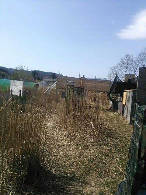 img_20150330-015425.jpg