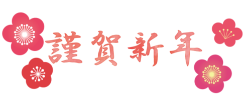 img_20161231-150838.png