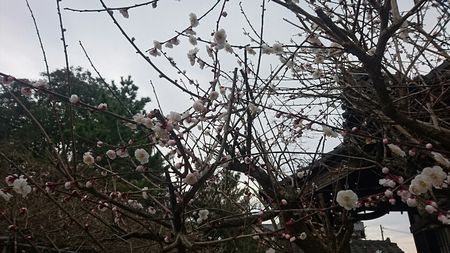 img_20170301-214601.jpg