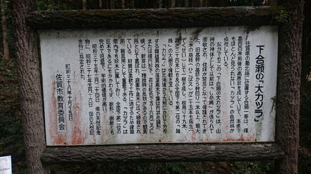 img_20170310-005225.jpg