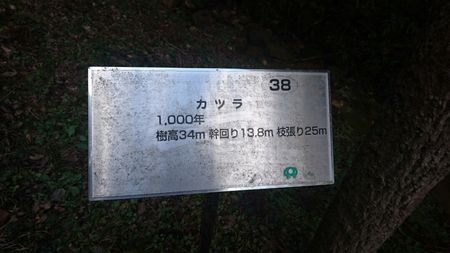 img_20170310-005240.jpg