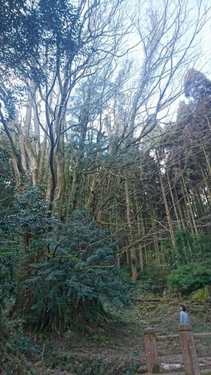 img_20170310-005915.jpg