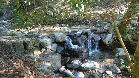img_20170311-182446.jpg