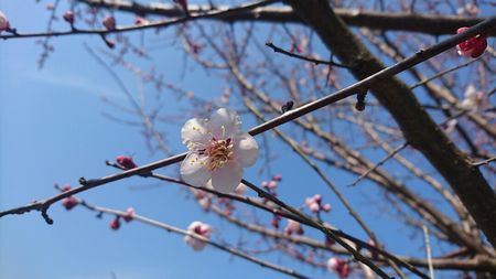 img_20170319-151506.jpg