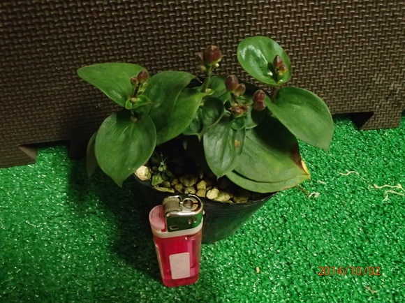 img_20141015-152836.jpg