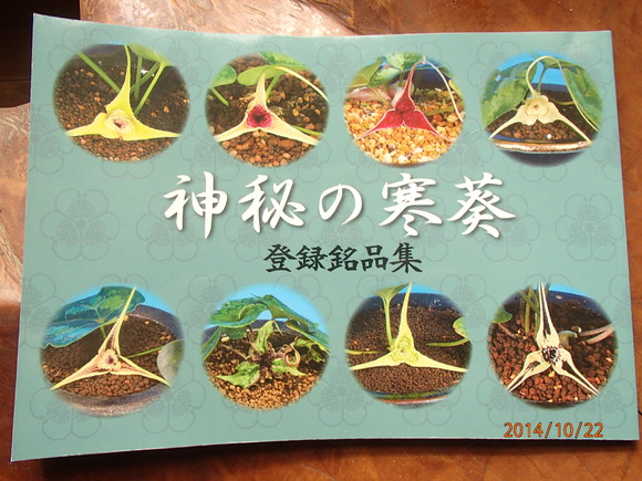 img_20141022-214959.jpg