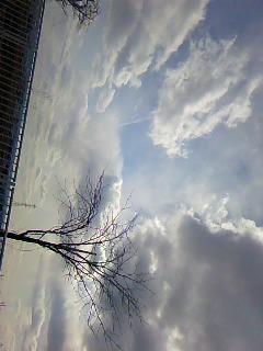風つよし画像