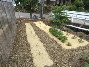 img_20140608-140220.jpg