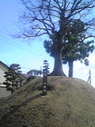 清水町 一里塚 画像