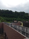 img_20140801-014717.jpg