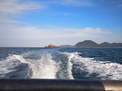 img_20140601-203931.jpg
