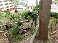 img_20160421-142252.jpg