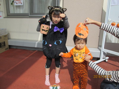 img_20161026-093337.jpg