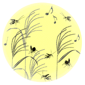 img_20160915-211652.png