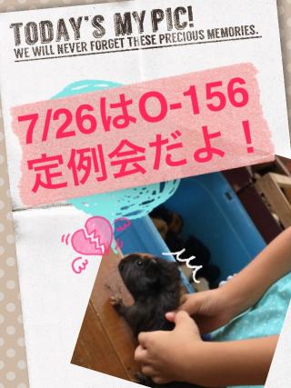 7/26は定例会です！画像