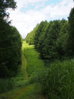 MTBでサイクリング